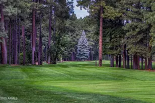 3723 Crown Dancer Dr, Pinetop, AZ 85935 - Photo 45