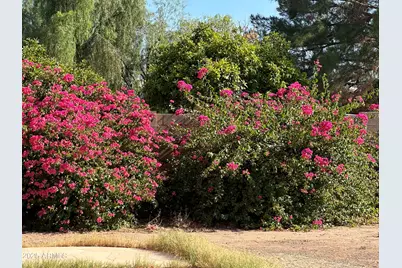 1755 W Aspen Avenue, Gilbert, AZ 85233 - Photo 49