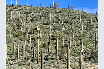 42000 N Fleming Springs Road #P, Cave Creek, AZ 85331 - Photo 31