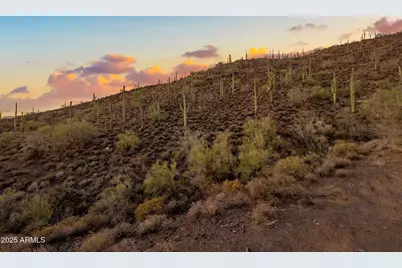 42000 N Fleming Springs Road #P, Cave Creek, AZ 85331 - Photo 19