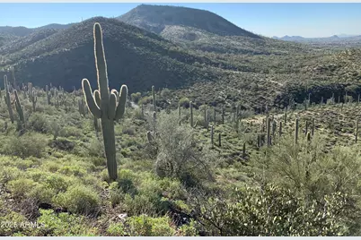 42000 N Fleming Springs Road #P, Cave Creek, AZ 85331 - Photo 33