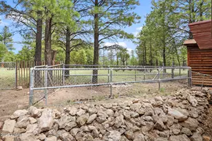 1875 Short St, Happy Jack, AZ 86024 - Photo 29