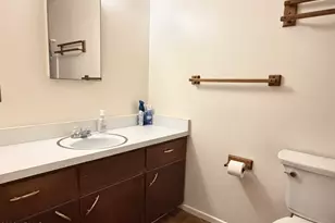 337 N Comanche Dr, Chandler, AZ 85224 - Photo 29