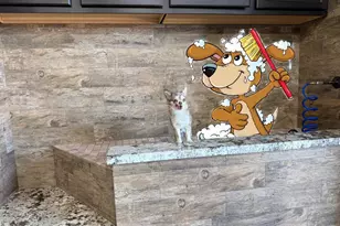 447 W Judd Rd, San Tan Valley, AZ 85143 - Photo 79