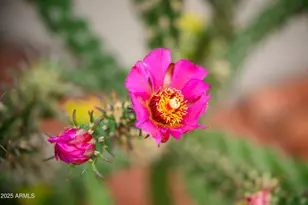 170 E Bighorn Ct, Sedona, AZ 86351 - Photo 27