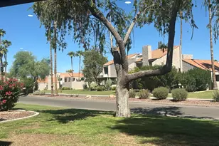 7000 N Via Camello Del Sur --, Scottsdale, AZ 85258 - Photo 17