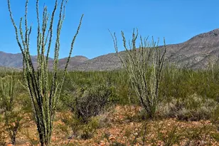 Tbd E Beech Craft Blvd, Bisbee, AZ 85603 - Photo 1