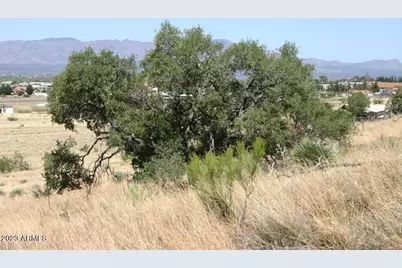 009N One More Road #-, Hereford, AZ 85615 - Photo 11