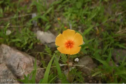 009N One More Road #-, Hereford, AZ 85615 - Photo 19