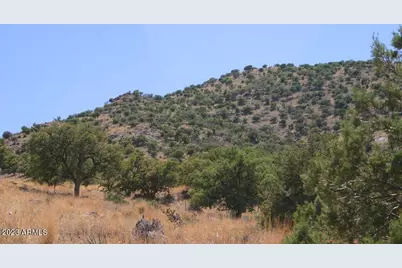 009N One More Road #-, Hereford, AZ 85615 - Photo 9