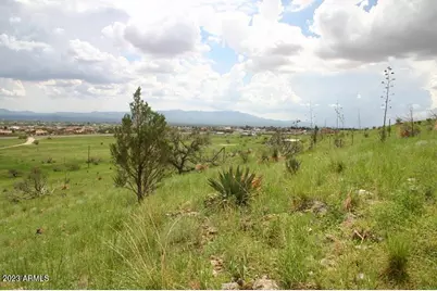 009N One More Road #-, Hereford, AZ 85615 - Photo 13