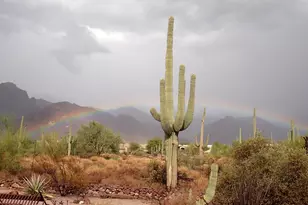 6619 E Quail Hideaway Ln, Gold Canyon, AZ 85119 - Photo 41