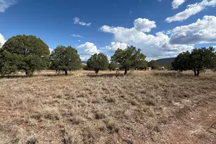 195 S Broken Trail, Young, AZ 85554 - Photo 3