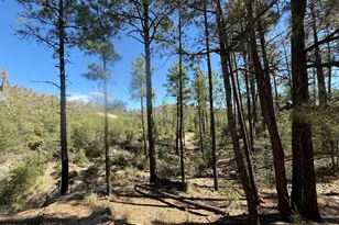 50 Summer Homes Dr, Crown King, AZ 86343 - Photo 9