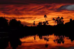 2312 W Lindner Ave, Mesa, AZ 85202 - Photo 39