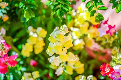 7155 E Oakmont Drive, Paradise Valley, AZ 85253 - Photo 71