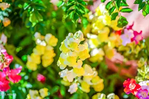 7155 E Oakmont Dr, Paradise Valley, AZ 85253 - Photo 71