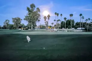 7155 E Oakmont Dr, Paradise Valley, AZ 85253 - Photo 79