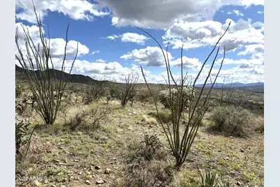 1735 Ruta Caravela -- #40, Rio Rico, AZ 85648 - Photo 7