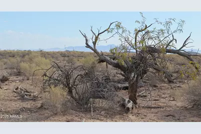 390Xx W Southern Avenue #117, Tonopah, AZ 85354 - Photo 7