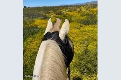 39125 N 25th Avenue, Phoenix, AZ 85086 - Photo 81