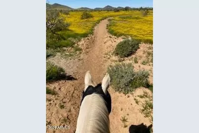 39125 N 25th Avenue, Phoenix, AZ 85086 - Photo 83