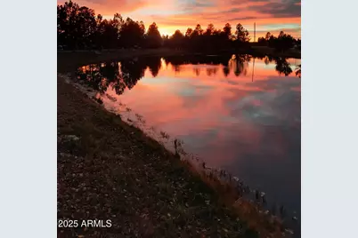 2274 Water N Hole Road, Overgaard, AZ 85933 - Photo 31