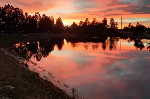 2274 Water'n Hole Rd, Overgaard, AZ 85933 - Photo 31