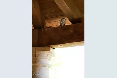 9533 E Covey Trail, Scottsdale, AZ 85262 - Photo 59