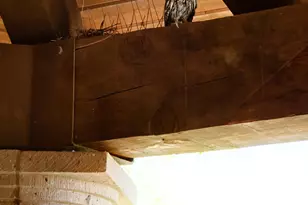 9533 E Covey Trail, Scottsdale, AZ 85262 - Photo 59