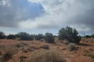 15 County Road 9079 --, Concho, AZ 85924 - Photo 7