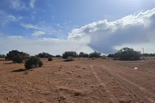 15 County Road 9079 --, Concho, AZ 85924 - Photo 9