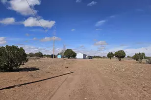 15 County Road 9079 --, Concho, AZ 85924 - Photo 3