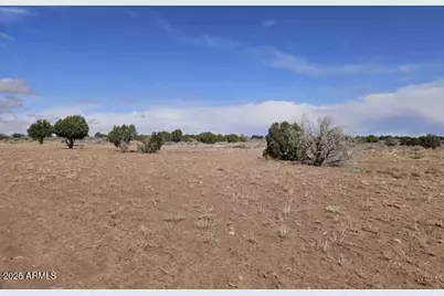 15 County Road 9079 -- #15, Concho, AZ 85924 - Photo 5