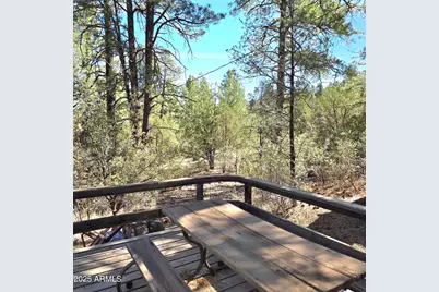 7426 W Forest Service Rd 200 --, Young, AZ 85554 - Photo 5