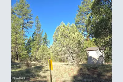 7426 W Forest Service Rd 200 --, Young, AZ 85554 - Photo 33