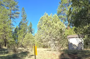 7426 W Forest Service Rd 200, Young, AZ 85554 - Photo 33