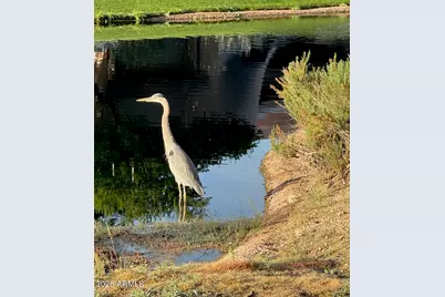 7373 E Clubhouse Drive #8, Scottsdale, AZ 85266 - Photo 87