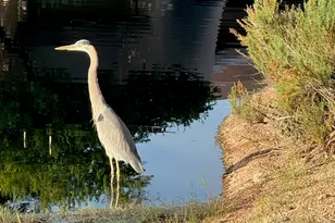 7373 E Clubhouse Dr, Scottsdale, AZ 85266 - Photo 87