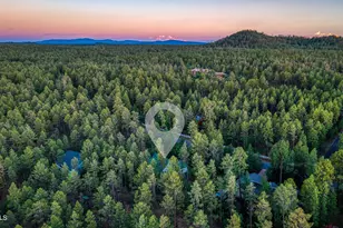 950 E Osprey Ln, Pinetop, AZ 85935 - Photo 41