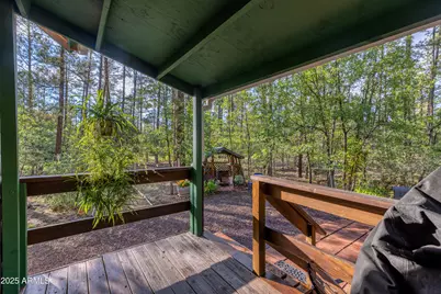 950 E Osprey Lane, Pinetop, AZ 85935 - Photo 29