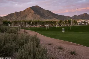 3307 W Storm Cloud St, San Tan Valley, AZ 85144 - Photo 23