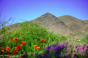 35345 N Canyon Creek Ct, Carefree, AZ 85377 - Photo 35