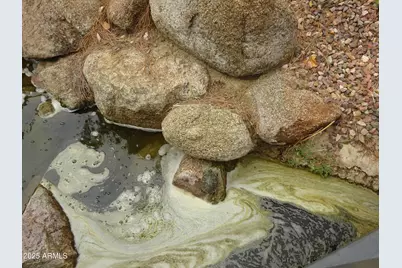 301 E Bethany Home Road #OFC, Phoenix, AZ 85012 - Photo 11