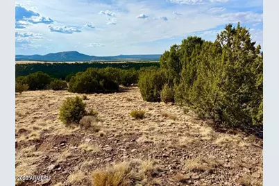 Tbd Co Rd N3109 9.11 Acres -- #-, Vernon, AZ 85940 - Photo 21