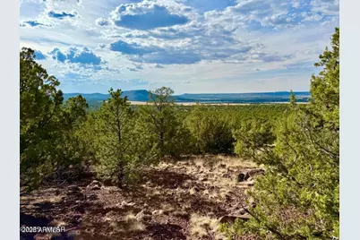 Tbd Co Rd N3109 9.11 Acres -- #-, Vernon, AZ 85940 - Photo 5