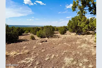 Tbd Co Rd N3109 9.11 Acres -- #-, Vernon, AZ 85940 - Photo 31