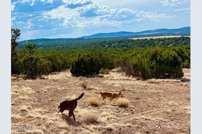 Tbd Co Rd N3109 9.11 Acres -- #-, Vernon, AZ 85940 - Photo 33
