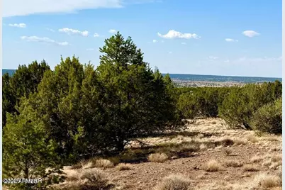 Tbd Co Rd N3109 9.11 Acres -- #-, Vernon, AZ 85940 - Photo 15