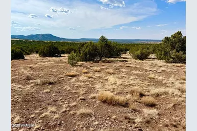 Tbd Co Rd N3109 9.11 Acres -- #-, Vernon, AZ 85940 - Photo 27